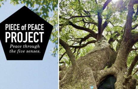 PIECE of PEACEプロジェクト